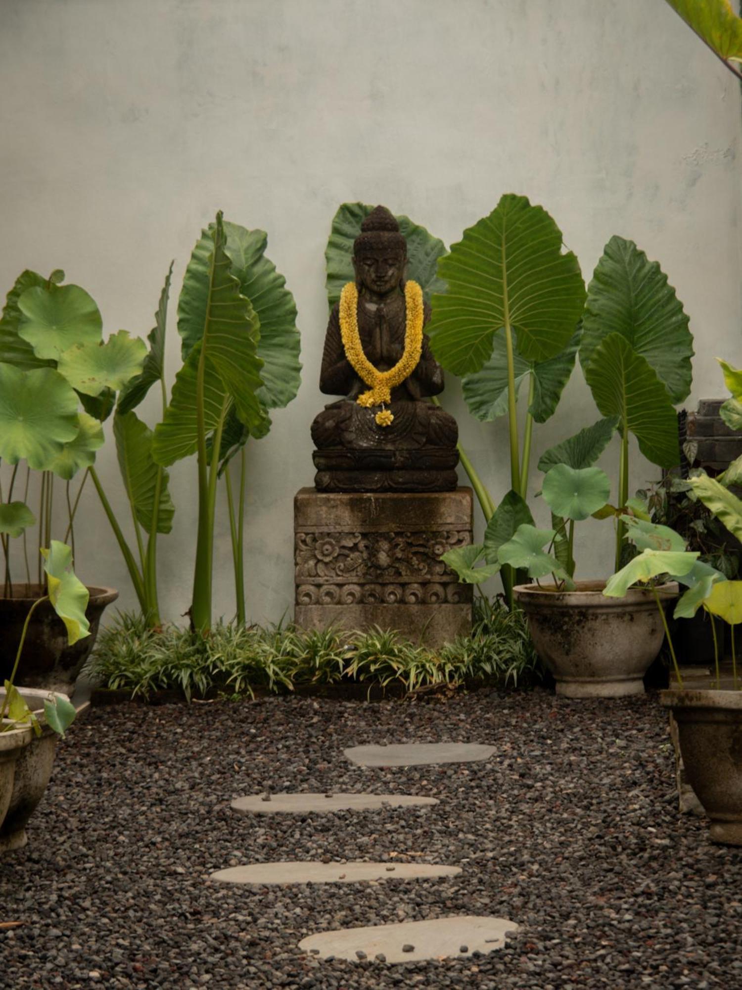 Tattva Ubud Retreat & Wellness מראה חיצוני תמונה